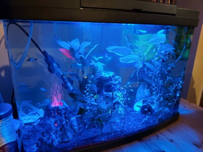 64 litre fish tank and stand | eBay UK