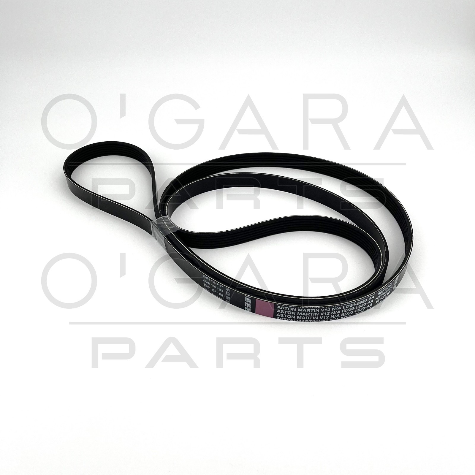ED23-8620-AA Aston Martin DB7 DBS Vantage Drive Belt [Fitment in description]
