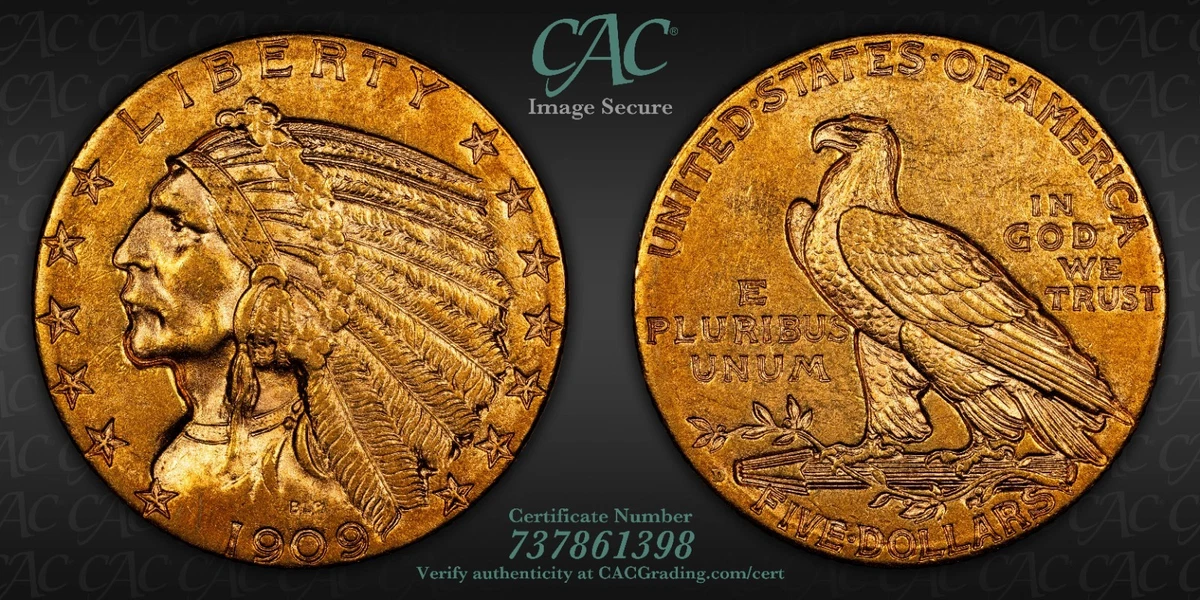 AU 58 Graded 1909 Year Half Eagle $5 US Gold Coins (Pre - 1933
