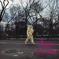 Audio Cd - American Wrestlers - American Wrestlers - Fat Possum Records -D- Neu