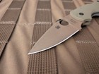 Spyderco Native 5 REC Exclusive CTS 204P Avocado — photo 10