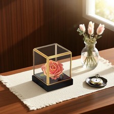 Vitrine en verre vintage pour figurines et modèles de bureau