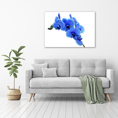 Glas-Bild Wandbilder Druck auf Glas 100x70 Deko Blumen & Pflanzen Blaue Orchidee - Bild 2 von 6