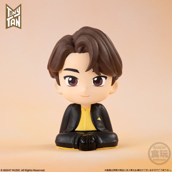 BTS TinyTan Butter Relacot relaxing mascot figure Rirakoto