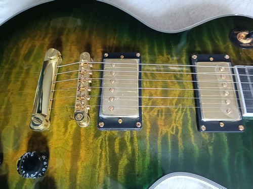 LP Green Flower Electric Guitar 6 -String ABR Bridge Mahogany Body in stock - Picture 8 of 9