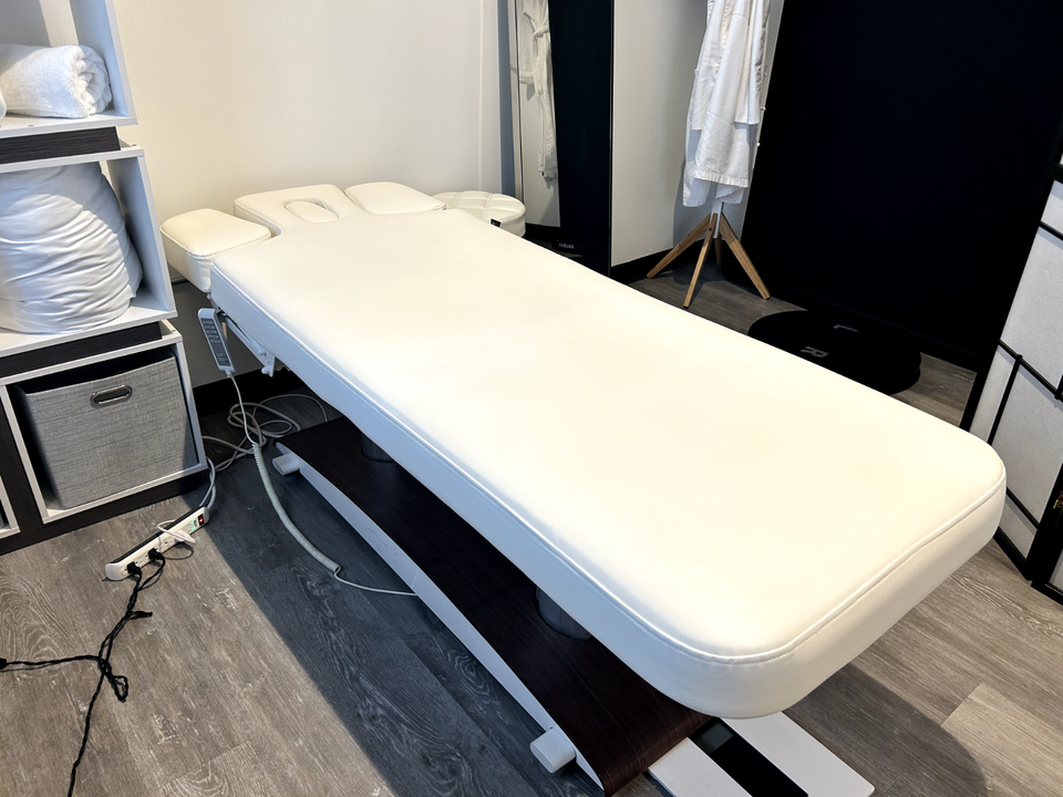 Professional Spa Massage Table eBay