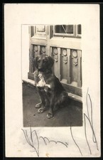 Foto-AK Jagdhund, vor einer Tür sitzend 