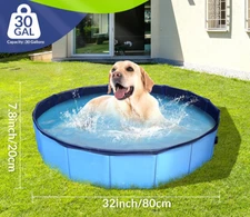 Foldable Dog Pool 32x8in Hard-Sided Pet Bath Tub for Small Dogs Non Slip Float