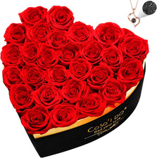 Preserved Roses Flowers for Delivery 27 Pcs, Forever Flores in Heart Box with Ne