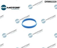 Dr.Motor Automotive DRM02220 Dichtung FüR AnsaugkrüMmergehäUse FüR Ford