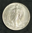 1987 American Silver Eagle 1 Oz Brilliant Uncirculated Coin, No Reserve #001