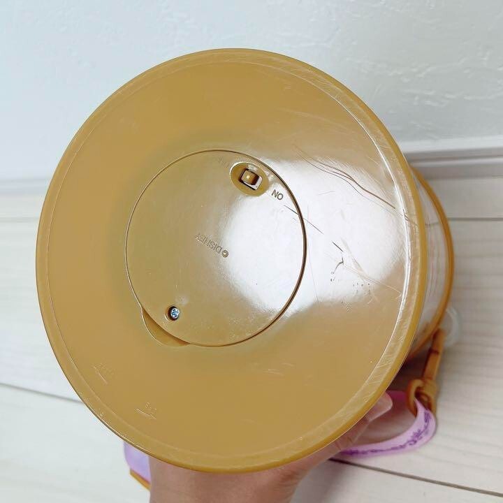 Tokyo Disney resort tangled Rapunzel lantern popcorn bucket Case Used