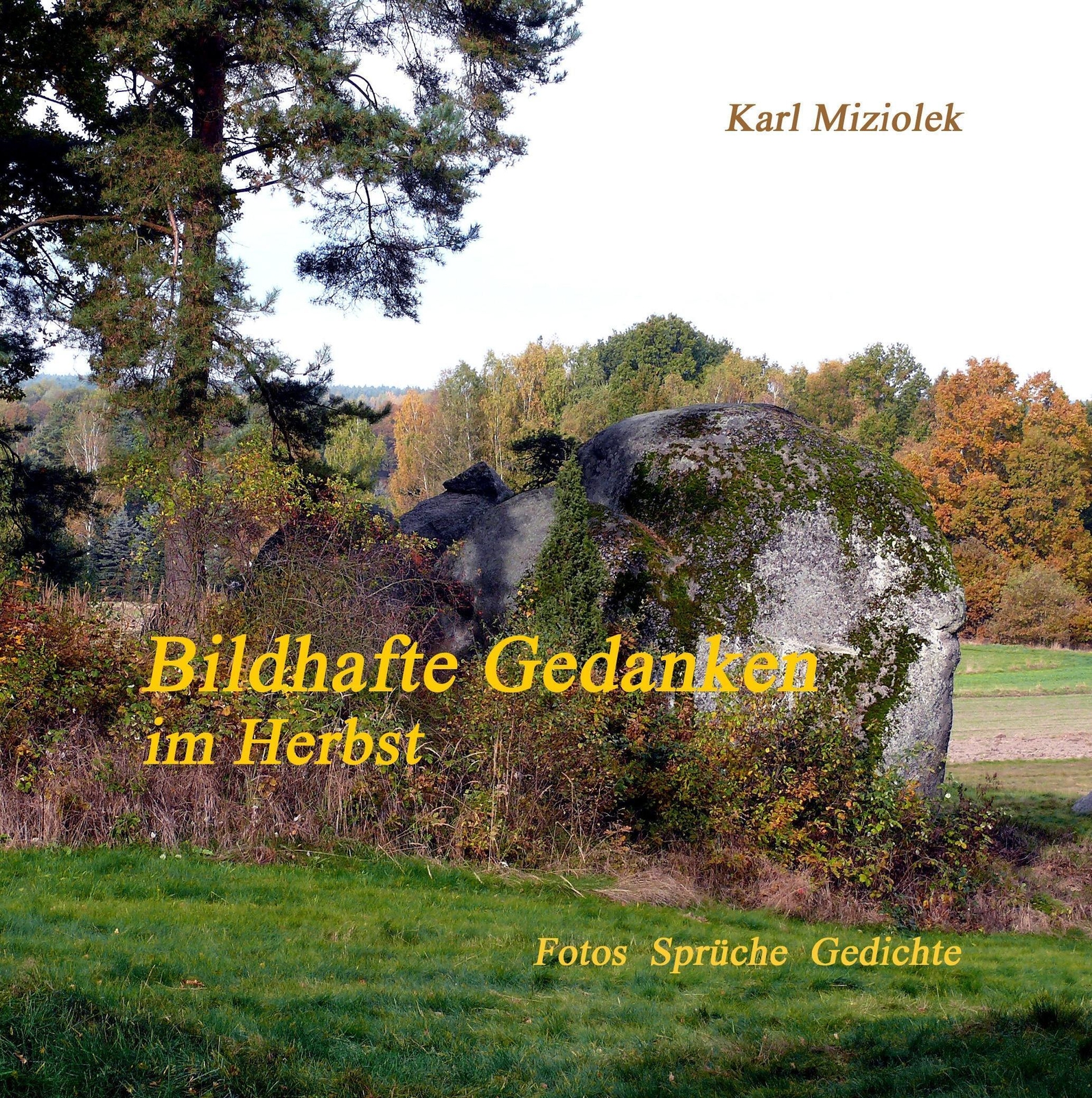 Thumbnail - Karl Miziolek | Bildhafte Gedanken | Buch | Deutsch (2016) | Herbst |