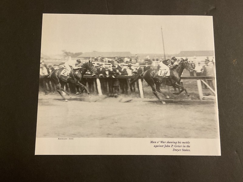 MAN O’ WAR  JOHN P GRIER 1920 DWYER 12 x 9 Photo HORSE RACING 