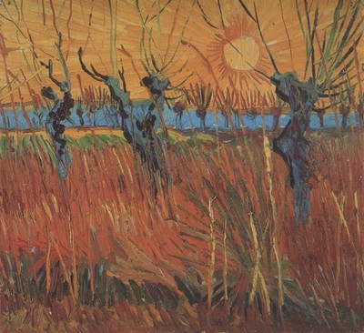 Vincent van Gogh 533 Weiden bei Sonnenuntergang Arles 1888 Kunstdruck Poster Leinwand Wand D