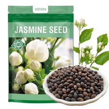 420 Climbing Jasmine Flower Seeds Fragrant Plant for Planting Normal, Brown