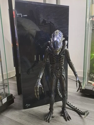 1/6 Hot toys alien warrior xenomorphe MMS354 - Photo 1/4