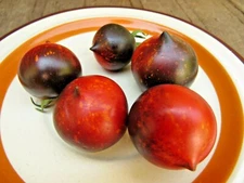 Heaven Oregon beautiful blue tomato with flecks of fire