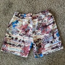 Caribbean Joe Hawaiian Islands Beach Pool Party Travel Swimsuit Men  s Size Large