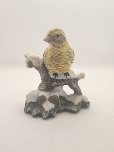 Vintage America’s Favorite Songbirds Evening Grosbeak Yellow Snow Branch
