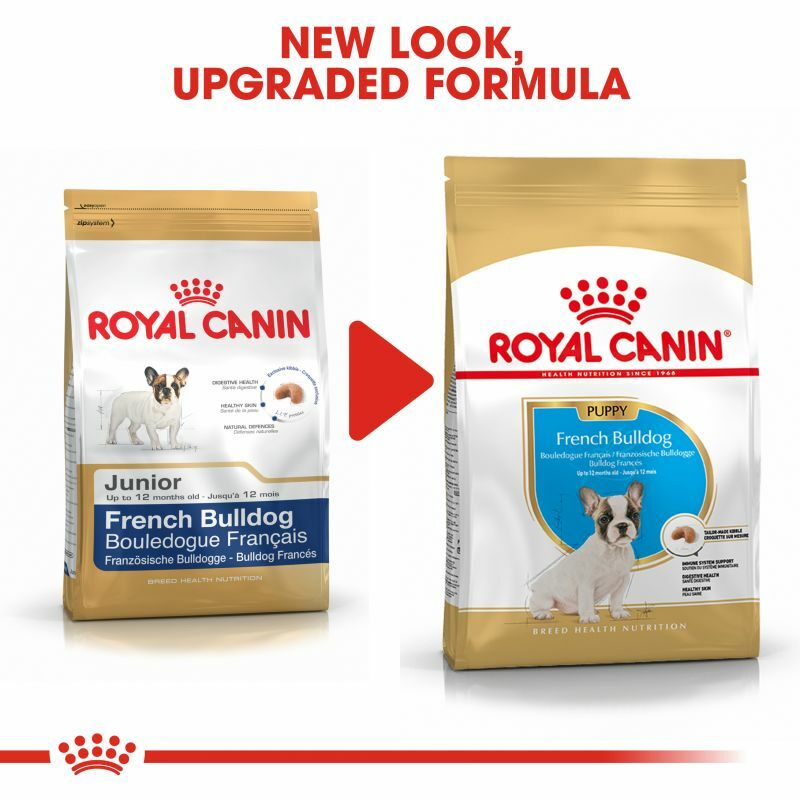 Puppy Dry Dog Food French Bulldog Royal Canin Complete Kibble High