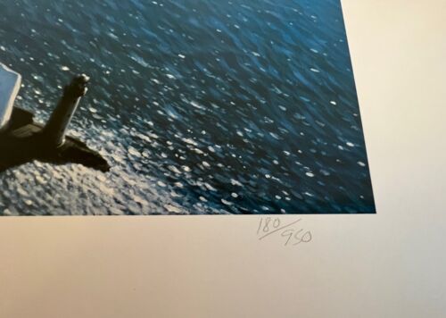 Spitfire on the Prowl Stan Stokes signiert und nummeriert limitierte Auflage Druck - Bild 3 von 3
