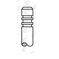 AE Auslassventil V80011 FüR VW Polo 1.4 1.6 Bi-Fuel Touran Seat Ibiza IV