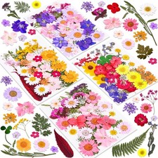 140 Pcs Dried Pressed Flowers for Green, Pink, Purple, Yellow, Red, Orange