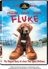 Fluke (Bilingual) [DVD]