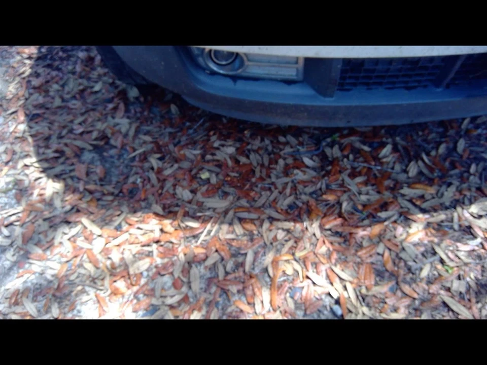 SHIFTER - MKX 2009 Transmission Shift 1140298 Foto 2 de 4