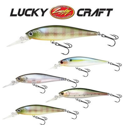 LUCKY CRAFT Pointer 78DD | 7,8cm - 9,6g | Suspending 2,1m Zander Barsch Wobbler