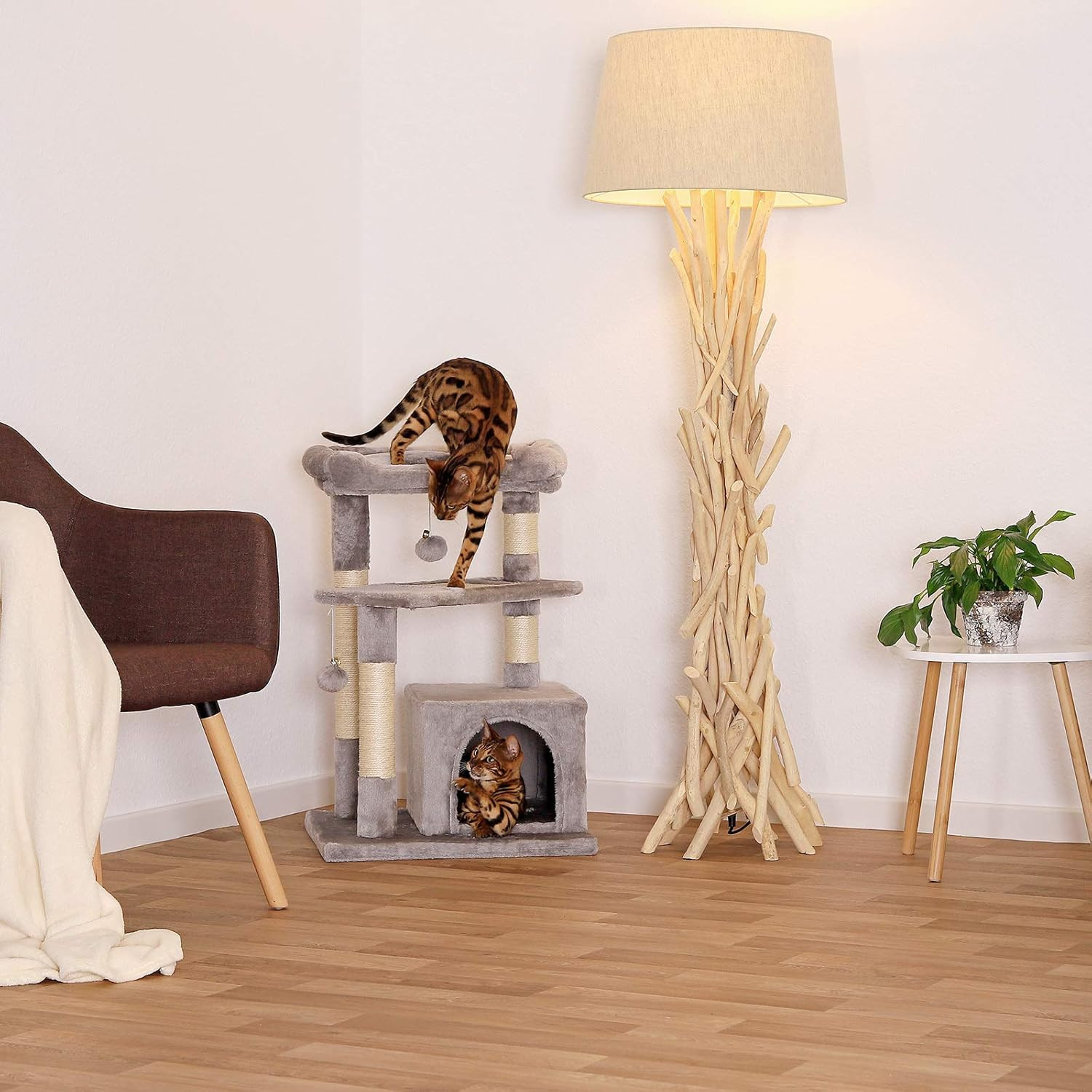 Tiragraffi per Gatto Altezza 75 cm | Albero Gioco Robusto e Sisal Naturale - 2