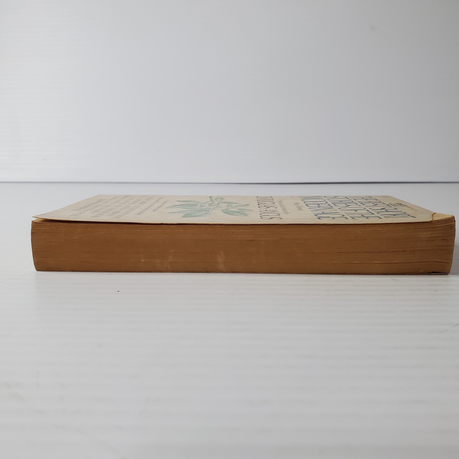 The Best Short Stories Of The Modern Age Douglas Angus 1974 Vintage Paperback 