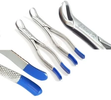 2 PREMIUM GERMAN AUTOCLAVABLE COW HORN LOWER MOLAR DENTAL EXTRACTING FORCEPS #23