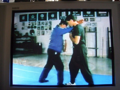 Paul De Thouars Pentjak Silat Bukti Negara DVD - Picture 4 of 5