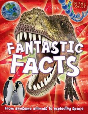 Fantastic Facts: From Awesome Animals to Exploding Space - Paperback - GOOD
