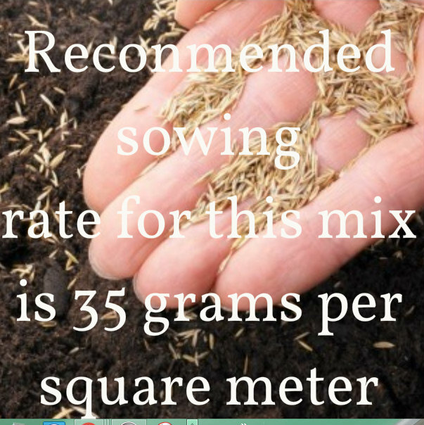 Grass Seed Lawn Mix SOGREEN 50 Sq M (A Unique Mix Stays Green all Weathers) eBay
