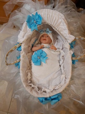 reborn moses basket