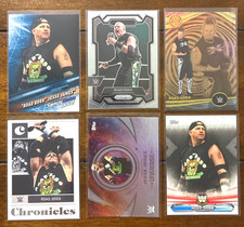 6 Card LOT of WWE Road Dogg Jesse James Wrestling Cards - Universe, Insert