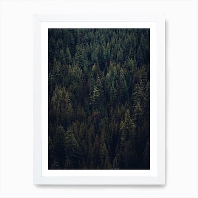 Dark Forest Wall Decor 1 Art Print Framed Wall Art Poster Canvas Print Picture