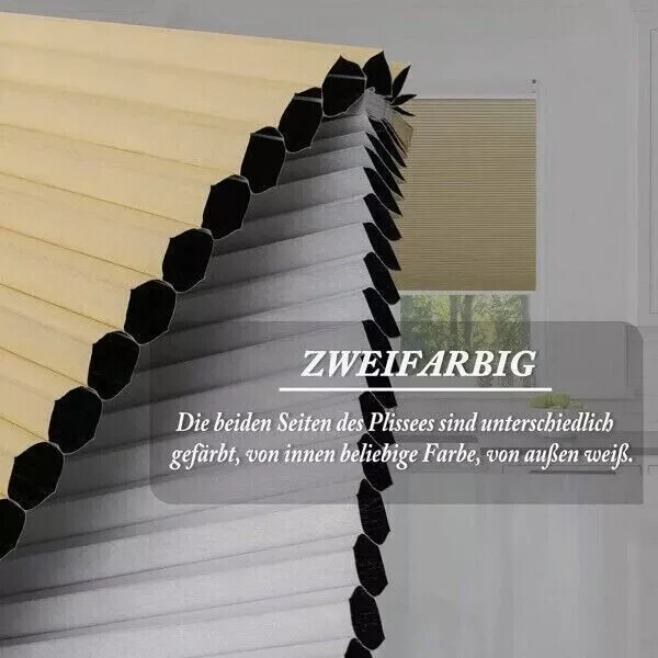 Bild 10 von 14