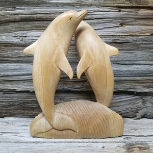 black and white and orange cat