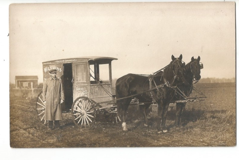 RPPC WATKINS SALESMAN HORSE DRAWN WAGON EXTRACTS WINONA MINNESOTA REAL PHOTO RP