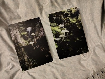 Decorative photo prints  set of 2 metal signs