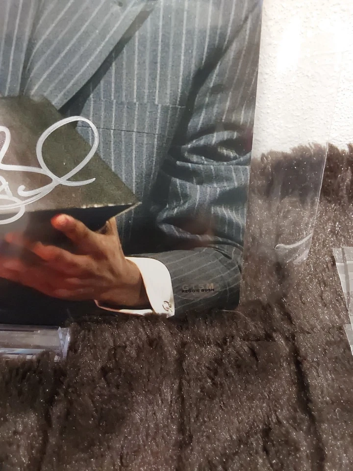 ФОТОГРАФИЯ РЕГГИ БУШ С АВТОГРАФОМ 8X10 USC TROJANS HEISMAN TROPHY GTSM СЕРТИФИКАТ ПОДЛИННОСТИ - Изображение 4 из 4