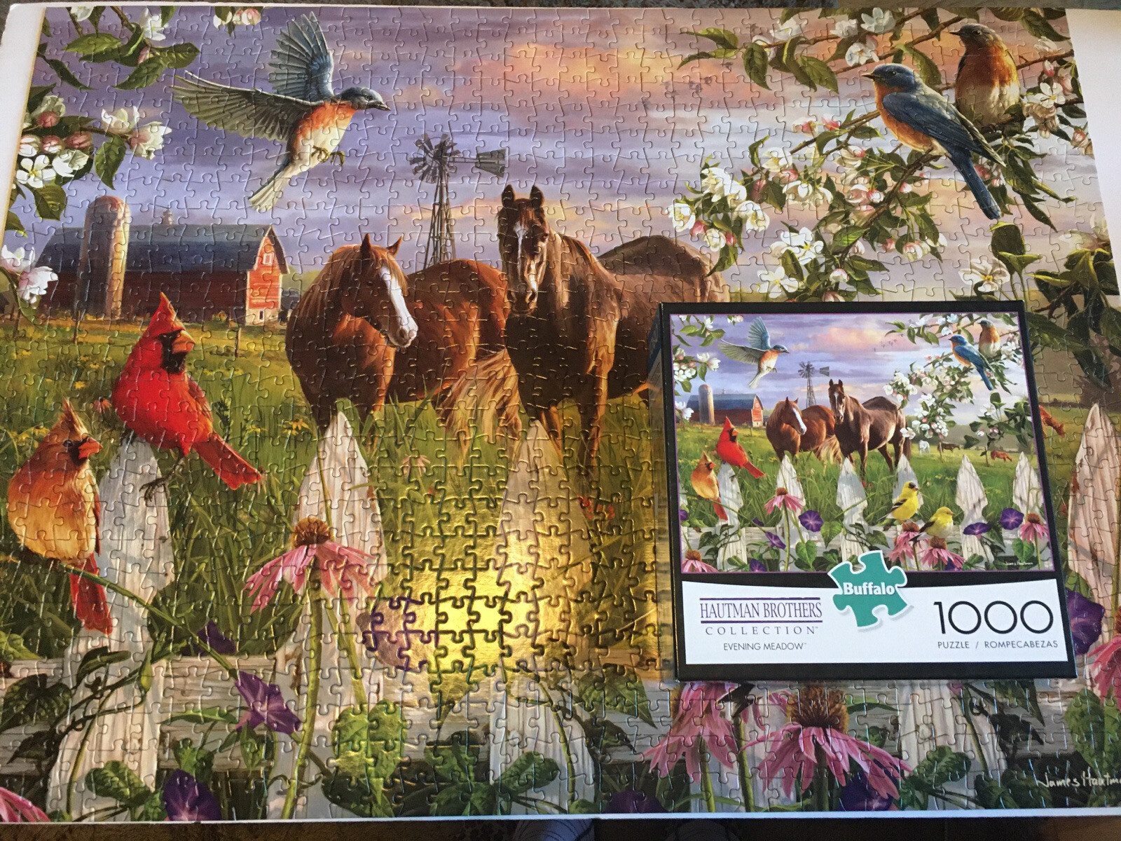 Buffalo Jigsaw Puzzl 1000 Pc Evening Meadow Hautman Brothers Used Compl+Poster