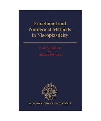 Functional and Numerical Methods in Viscoplasticity, Ioan R Ionescu, Mircea Sofo