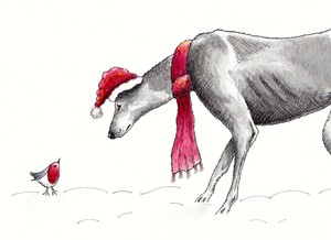 10 X Lurcher Greyhound Saluki Whippet Large Christmas Cards Help