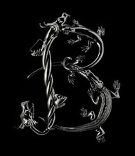 Berengo: 30 years in glass. Ediz. a colori Copertina rigida – Illustrato