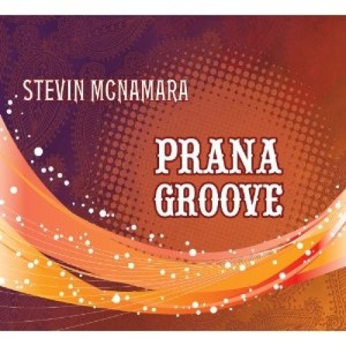 Prana Groove [Ecopak][Digipak] by Stevin McNamara [Audio CD]